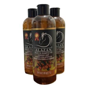 SHAMPOO DE 1LT CON ARGAN, PARA CABELLO MALTRATADO Y PROCESADO 3 PZAS.